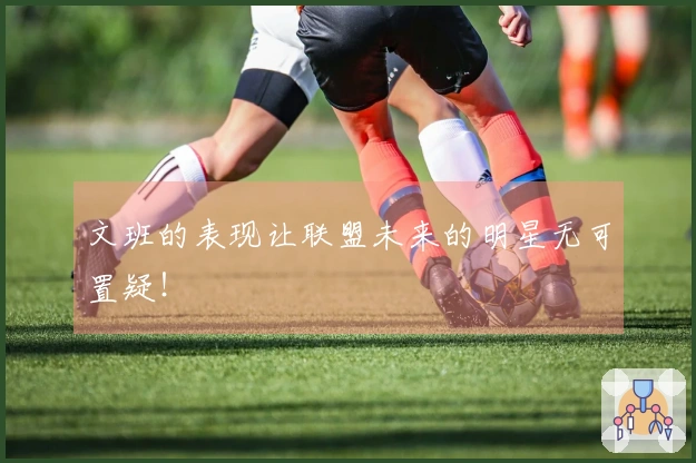 文班的表现让联盟未来的明星无可置疑！